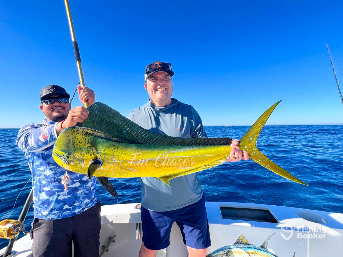 Cabo San Lucas Report Photo 0