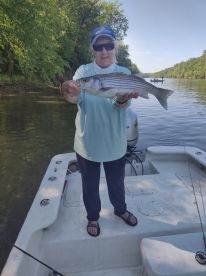 Great striper fishing continues!!!