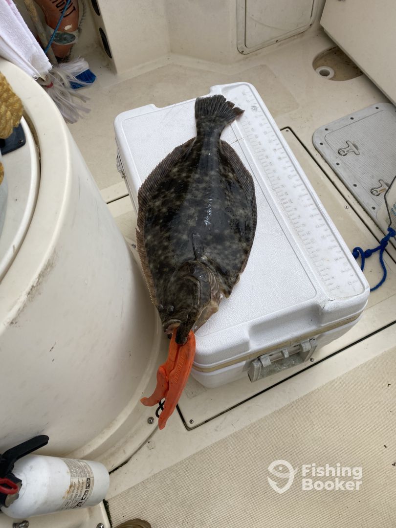 Barnegat Light Report Photo 0