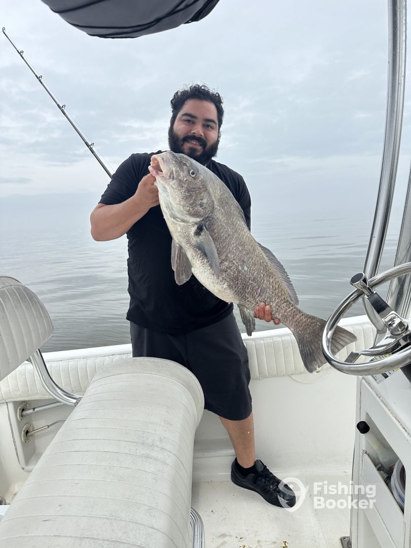 Drum Beats On Cape May Fishing Report FishingBooker