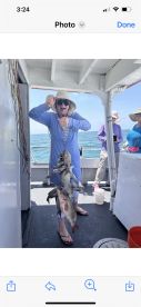 St. Pete Beach Report Photo 1