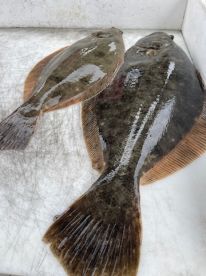 Great day on the water