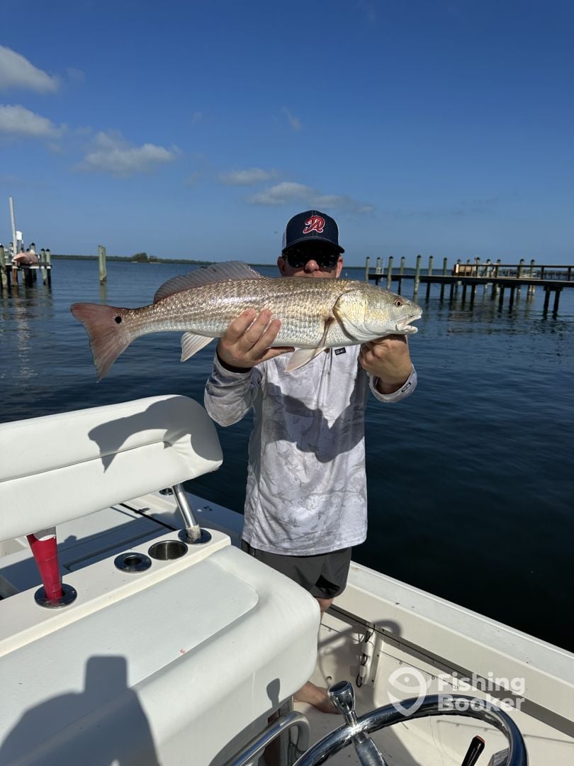 Clearwater Report Photo 0