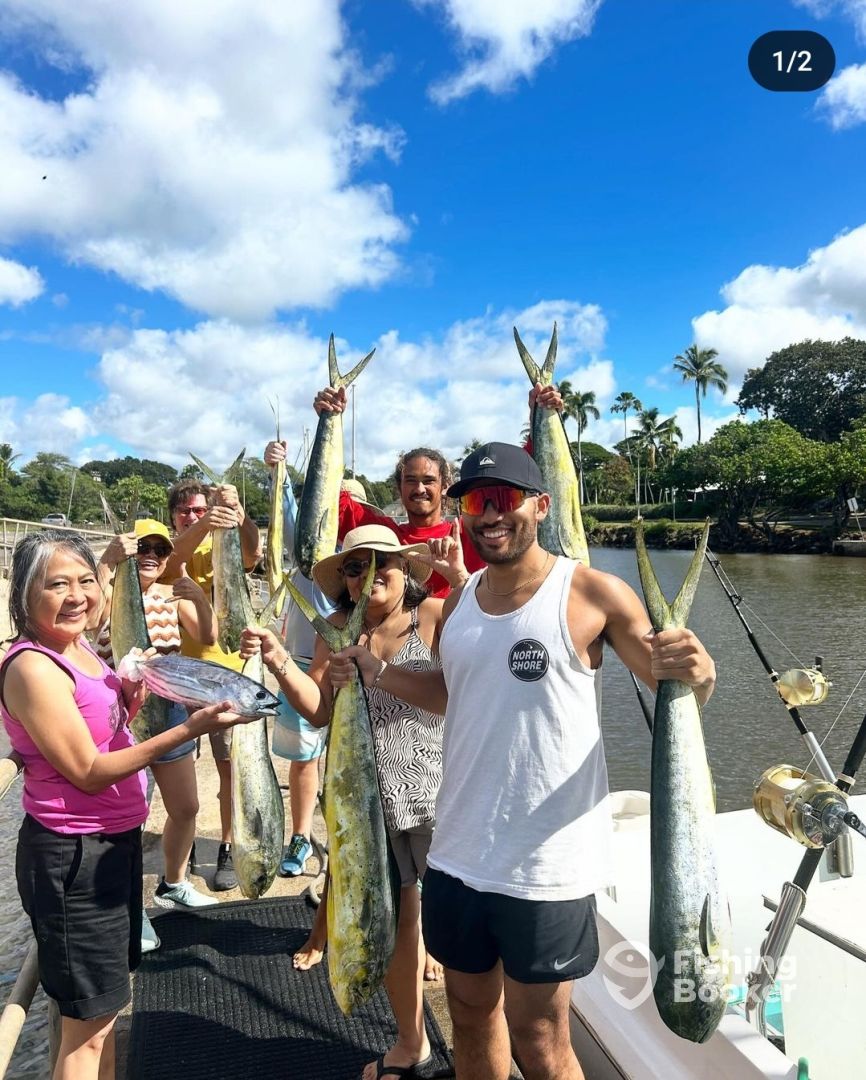 Haleiwa Report Photo 0