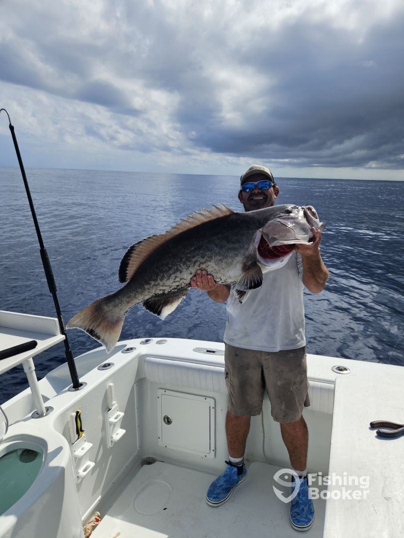 Port Orange Report Photo 0