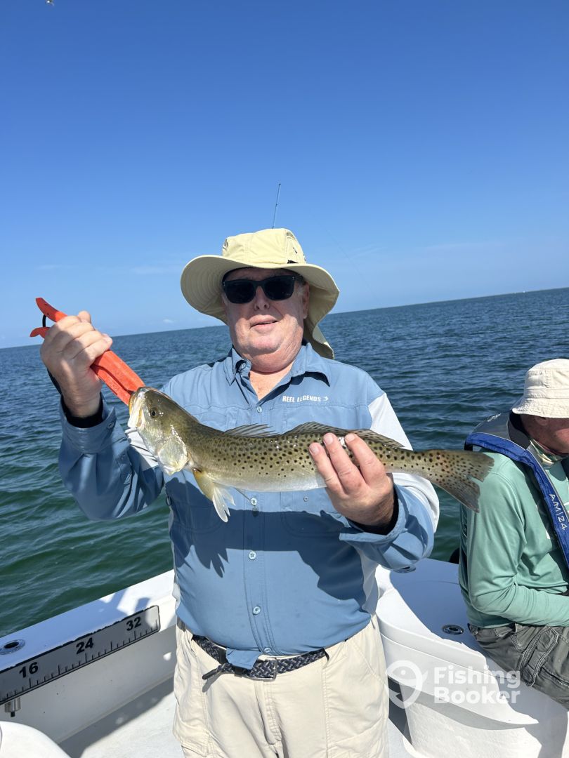 Bradenton Report Photo 0