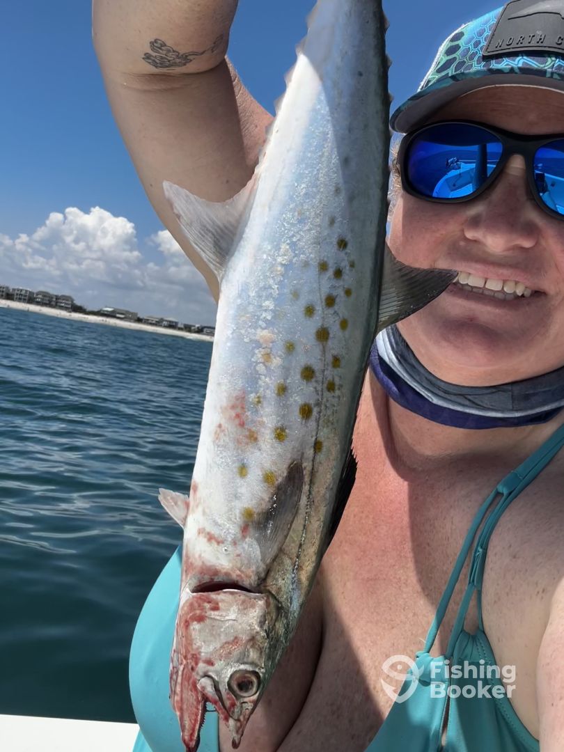 Oak Island Report Photo 0