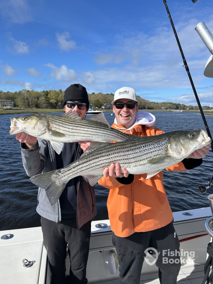 Scituate Report Photo 0