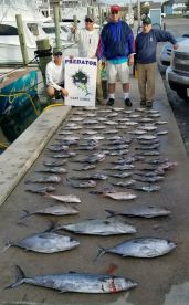 The catch laid out on the dock
