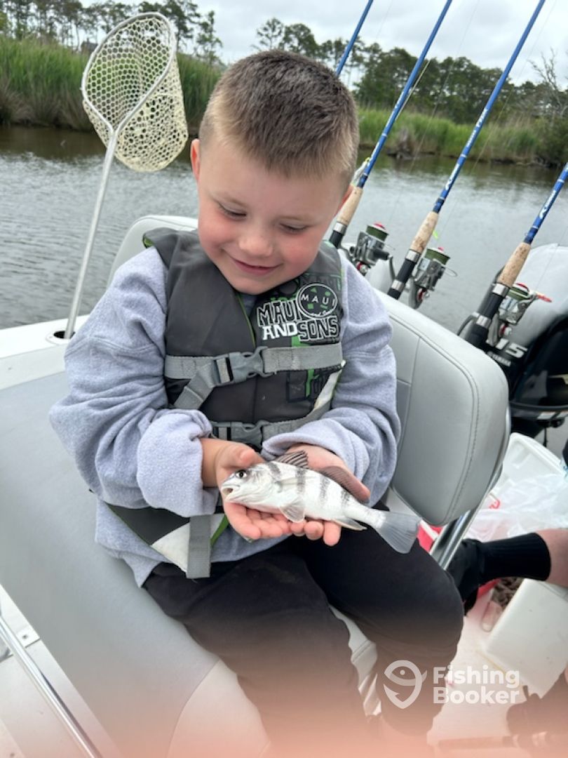 Manteo Report Photo 0