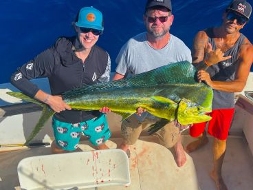 Wailuku Report Photo 4