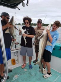 Sharks have arrived!!