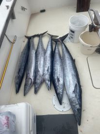 Sandys Report Photo 2