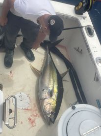 Sandys Report Photo 1