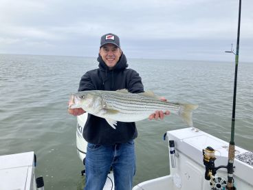 Summer season is here