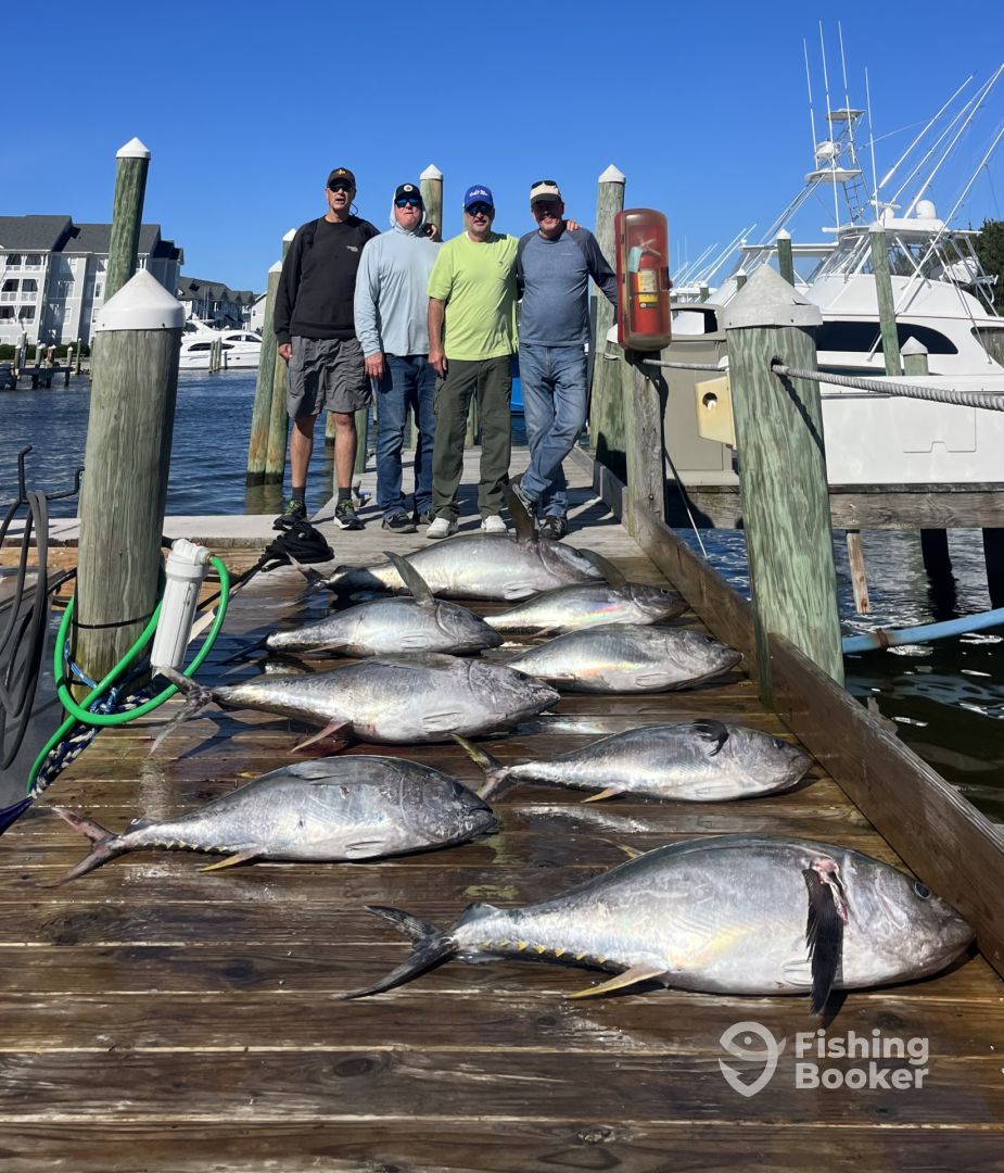 Manteo Report Photo 0