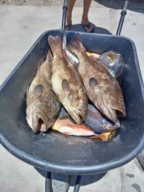 San Jose del Cabo Report Photo 1