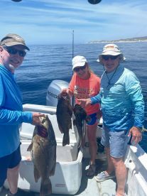 San Jose del Cabo Report Photo 2