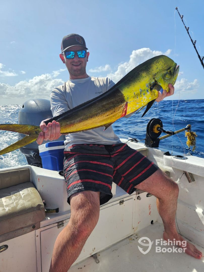 Playa Del Carmen Report Photo 0