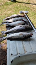 Pre fished for up coming charter,,the bi