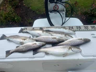 Easy limit