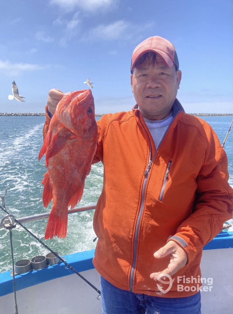 Half Moon Bay Report Photo 0