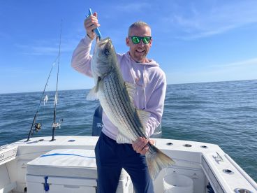 The Stripers are stacked in Montauk