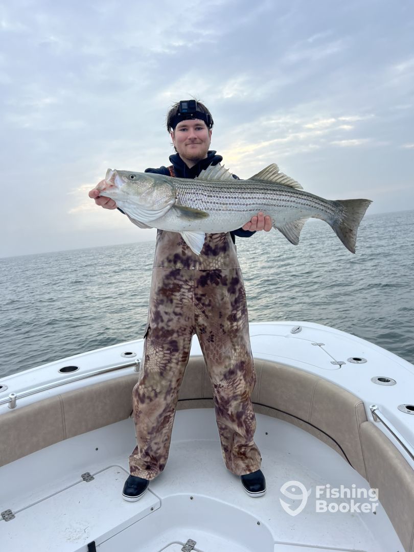 The Great Striper Migration is here!!! Hampton Bays Fishing Report