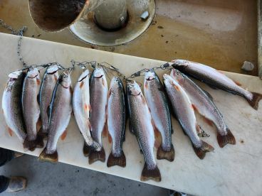 Duchesne Report Photo 2