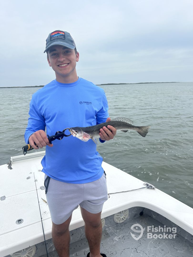 Port Isabel Report Photo 0