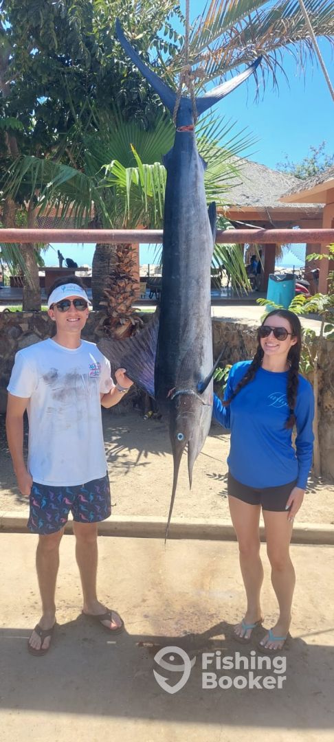 San Jose del Cabo Report Photo 0