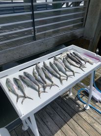 Wilmington Report Photo 2