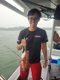 Singapore Report Photo 1