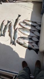 The Statesboro Ga.clients