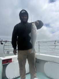 San Francisco Report Photo 2