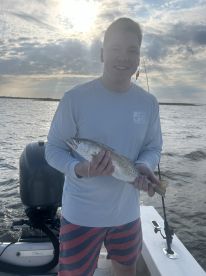 Trout and sheep