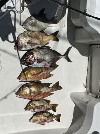 Bottom fishing 4 june 2024