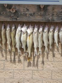 Its time for fall and Winter walleye fis