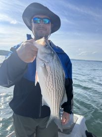 Amazing Hybrid striper action