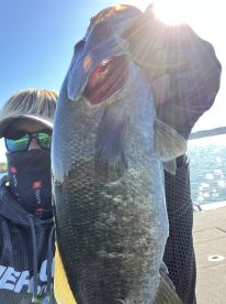 Swimbaits early morning!!