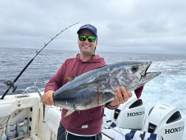 Bluefin are here. 