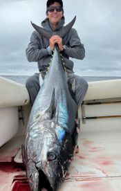 180lb bluefin tuna