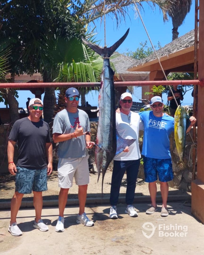 San Jose del Cabo Report Photo 0