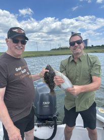 Brigantine Report Photo 1