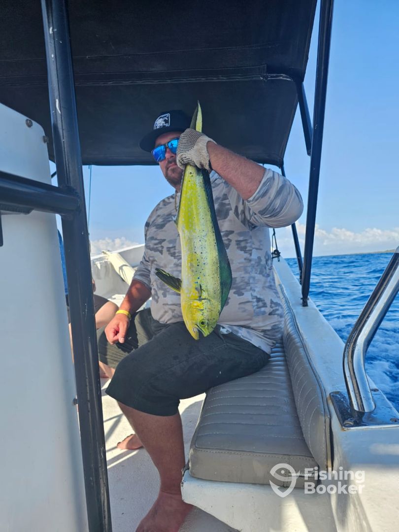 dorados caught by our enthusiastic anglers 