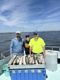Great start to summer season
