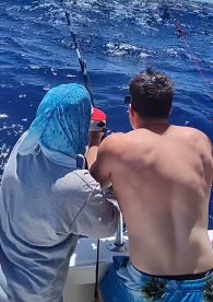 Haleiwa Report Photo 2