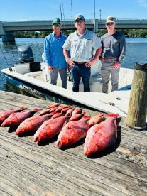 These boys can pull!