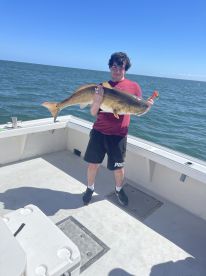 Virginia Beach Report Photo 1