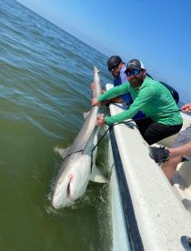 Galveston Report Photo 1